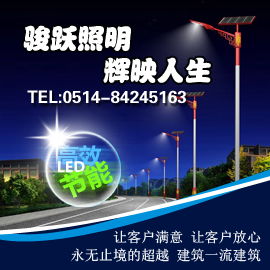 智慧之光 景观灯厂家借力互联网数据服务开拓市场新蓝海